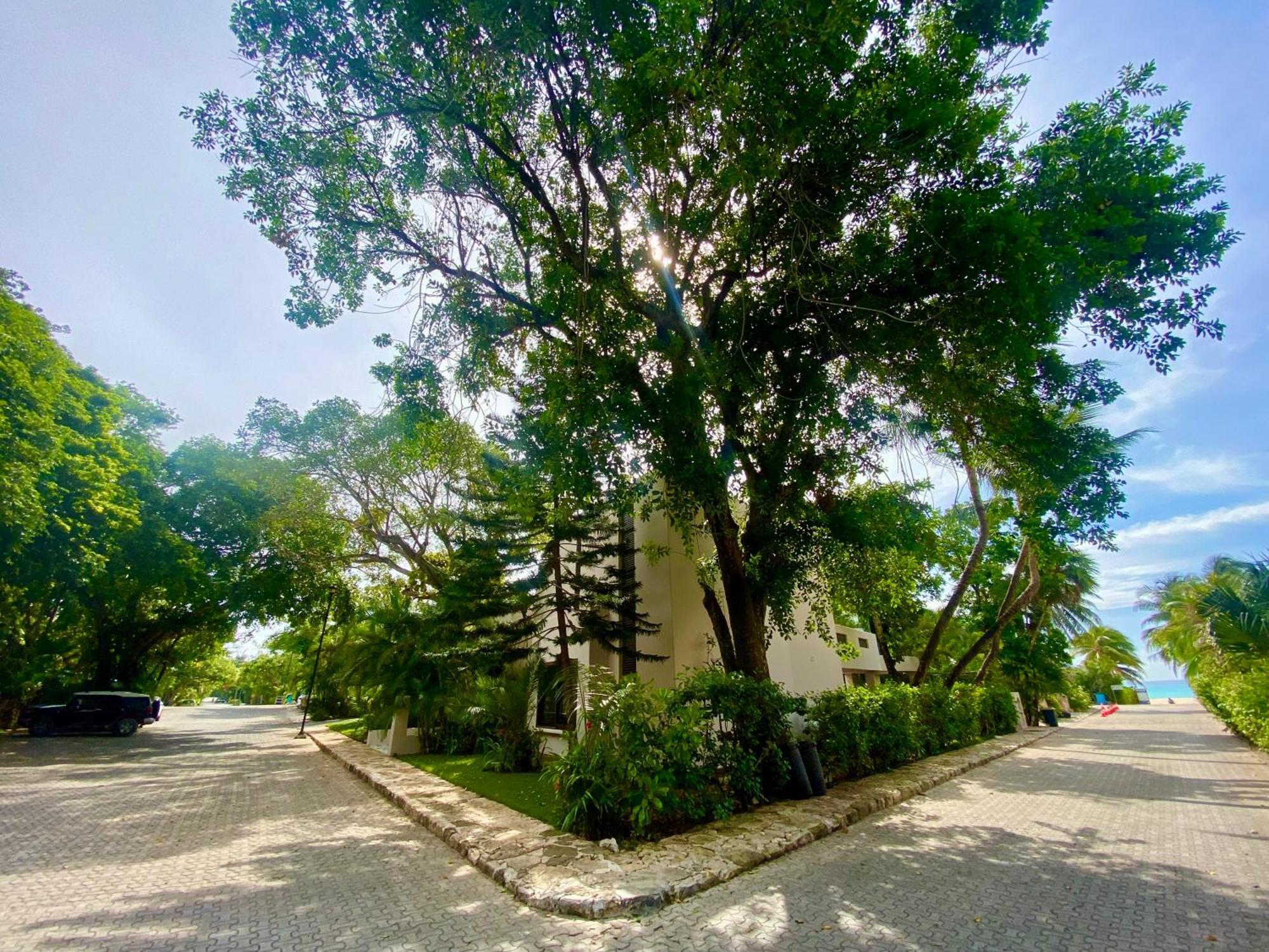 Villa Almendra Playacar 1 Playa del Carmen Exterior photo